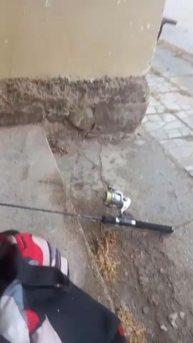 A fishing rod with a reel lies on the ground next to a bag. The camera pans to show a street with a paved sidewalk. Beyond the street is a road with a few buildings and trees. A car is parked in front of one of the buildings. The scene appears to be a rural area.