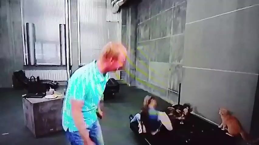 A man in a teal patterned shirt and jeans walks away from the camera, facing a scene with several dogs and at least two other people. In the foreground, to the right, is an orange cat. A woman is seated on a dark surface, and two dogs are near her. One dog is a German Shepherd mix, and the other is smaller. Another man in a blue and white striped shirt and jeans walks into the frame from the left, and another man in a white shirt and jeans is also in the left portion of the frame. The environment appears to be an indoor space with concrete walls and large windows with blinds. There is a wooden crate with a laptop and a plate on it.