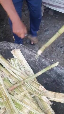 A person is seen preparing sugar cane for juicing. Initially, the person uses a machete to cut the top off a sugar cane stalk, then places the cut stalk into a sugarcane juicing machine. Another person is operating the juicing machine. The machine is a wheeled cart with a metal juicing unit on top, powered by a gasoline engine. The juicer is extracting liquid from the sugar cane stalks, which are fed into its rollers. The surrounding environment appears to be an outdoor market or roadside stall, with other people and a vehicle visible in the background.