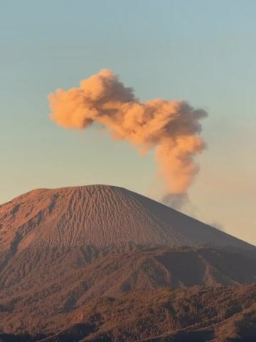 A conical volcano erupts, spewing a large cloud of ash and smoke into the clear, pale blue sky. The smoke plume is illuminated by the warm, golden light of sunrise, giving it an orange hue. The volcano's slopes are covered in dense, dark green vegetation, contrasting with the barren, ash-colored summit. The overall scene suggests a natural phenomenon occurring in a remote, mountainous region, likely at dawn. The image is composed with the volcano dominating the lower half of the frame, and the expansive sky filling the upper portion, emphasizing the grandeur of the eruption. There is no visible text in the media file.