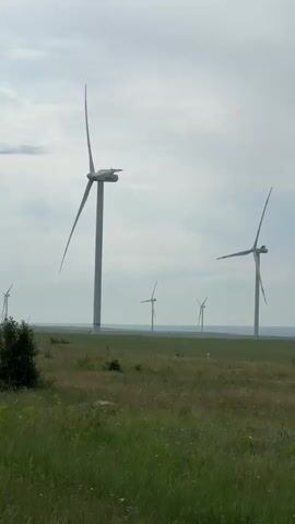 The video shows a landscape with several wind turbines in the distance. The foreground is a grassy field with some bushes on the left. The sky is overcast. The wind turbines are tall, white structures with three blades that are slowly rotating. The turbines are spaced out across a wide expanse of land, suggesting a wind farm. The overall impression is one of a vast, open space with a focus on renewable energy.