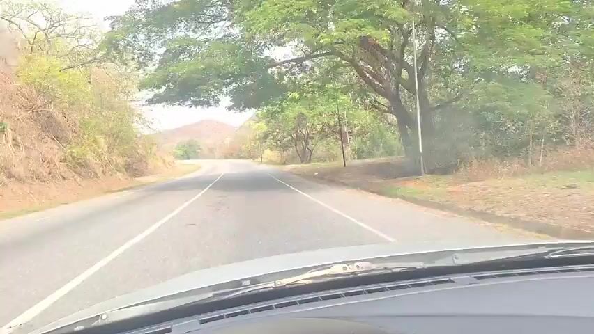 A first-person perspective video shot from the driver's seat of a moving car. The car is traveling on a two-lane paved road with a solid white line separating the lanes. The road curves slightly to the left. On the left side of the road is a hillside covered with dry vegetation. On the right side of the road are trees and tall grass.  Overhead power lines are visible.  The sky is overcast. The car's dashboard and windshield are visible in the foreground.