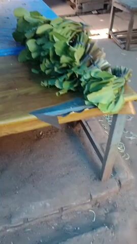 A video shows a bunch of leafy green vegetables tied together with a plastic tie, lying on a wooden table next to a knife. In the background, there are wooden crates and other items, suggesting a market or roadside stall. The camera then pans to show more produce and items stacked on tables. The overall environment appears to be outdoors, with a dirt or dusty ground.