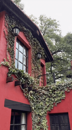Quiet afternoon captured in Mexican home and garden