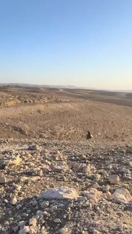 A person is standing on a rocky hillside in a desert landscape. The person is wearing dark clothing and appears to be looking out at the vista. The sun is setting, casting a warm glow over the scene. The sky is clear and blue. The ground is covered in rocks and sparse vegetation. In the distance, there are rolling hills and some signs of human habitation, such as buildings. The overall impression is one of peace and solitude.