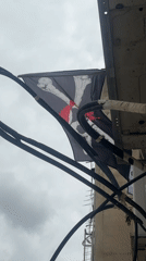 Tel Aviv residents document pirate flag, toy collection
