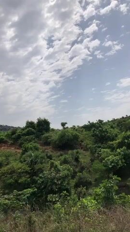 The video shows a lush, green, hilly landscape under a partly cloudy sky. The vegetation consists mainly of low-lying trees and shrubs. The ground is uneven, with patches of red soil visible. The sky is a mix of blue and white, with clouds scattered across it. There is music playing in the background.