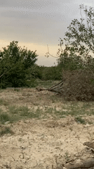 Drought damage and agricultural contrast documented in Pakistan