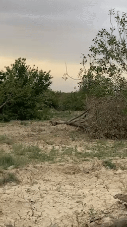 Drought damage and agricultural contrast documented in Pakistan