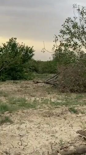 Drought damage and agricultural contrast documented in Pakistan