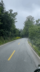 Vehicle travels winding forest road in Wulingyuan during early morning