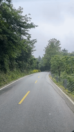 Vehicle travels winding forest road in Wulingyuan during early morning