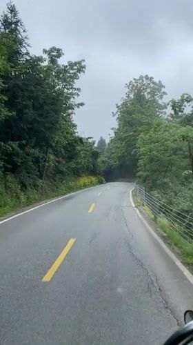 Vehicle travels winding forest road in Wulingyuan during early morning
