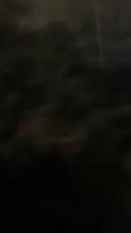 The video starts with a dark, blurred view through what appears to be a window, showing vegetation and a blurred building in the background. It then transitions to an interior shot of a train car hallway. The hallway has windows on one side and doors on the other. The walls are beige, the floor is red, and the ceiling is white with a single light fixture. The hallway appears empty.