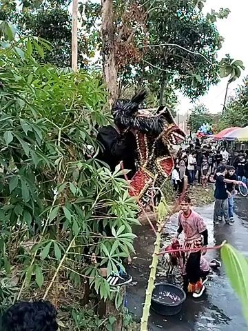 A cultural performance is taking place outdoors on a wet, paved road. In the foreground, a person in traditional attire is dancing, holding a prop that resembles a horse's head. To the left, a large, elaborate costume, likely part of the performance, is partially obscured by greenery. A person in a pink shirt is tending to a bucket of water and what appears to be offerings on the ground. In the background, a crowd of spectators lines the road, some gathered under tents and umbrellas. A stage with musicians is visible further down the road. The overall environment suggests a lively, community event.