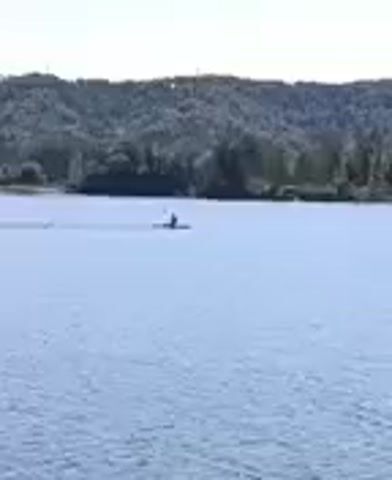 A person is kayaking on a body of water. The water is calm, and there are trees and hills in the background. The sky is clear.