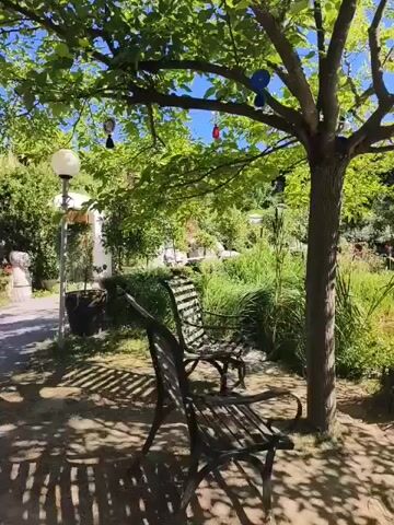 The video shows an outdoor scene on a sunny day with dappled sunlight filtering through the leaves of a tree. In the foreground, there are two empty metal benches facing forward. The tree itself has several decorative ornaments hanging from its branches, including what appear to be evil eye talismans in blue, red, and black, as well as some circular ornaments. To the left of the benches, there is a paved pathway and a lamppost with a white globe. Beyond the benches and tree, there is lush green vegetation, including tall grasses. The overall impression is one of a tranquil garden or outdoor seating area.
