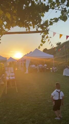 The video opens with a static shot of an outdoor event at sunset. A young boy in a white shirt and black shorts with suspenders stands on a grassy lawn with his back to the camera, looking towards a series of white tents where people are seated at tables. The sun is setting behind the tents, casting a warm orange glow and creating a strong lens flare. Grapevines with green leaves frame the top of the shot, and colorful pennant banners are visible on the right. The camera then slightly pans left, showing more of the tents and a wooden easel with white cards. The camera then moves closer to a metal fence and grapevines, with the sun still visible through the leaves. The shot transitions to a wider view of a green valley with rolling hills, trees, and distant mountains under a clear sky with a sunset glow.