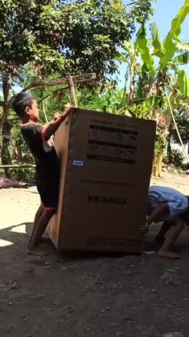Two children are moving a large cardboard box labeled "TOSHIBA." The box appears to be for a washing machine. The boy in the foreground is on the left side, pushing the box. The girl on the right side is also pushing or pulling the box. They are outdoors in a dirt yard with trees and a building in the background. The weather is sunny.