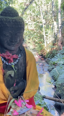 Wandering a mossy Ubud garden temple with koi and jungle canopy