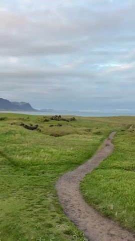 The video presents a serene, static landscape shot, with a very slight, slow pan to the left at the beginning. No people are visible.

The scene is dominated by a vibrant green field in the foreground and midground, suggesting a lush, natural environment. A winding dirt path, light brown in color, meanders through the grass from the bottom right corner towards the center of the frame and then veers to the left, disappearing slightly behind a rise. Scattered within the green field are clusters of dark, moss-covered rocks or small mounds.

In the midground, beyond the fields, a calm body of water, likely the sea or ocean, stretches across the horizon, appearing light blue-grey under the sky. Further in the distance, a range of rugged mountains with some visible snow patches rises along the coastline, creating a dramatic backdrop.

The sky above is overcast with soft, light grey and white clouds, providing diffused light. The overall lighting suggests either a morning or late afternoon setting. The weather appears calm, with no strong winds indicated by the stationary vegetation.

Based on the provided context, the location is Búðir, Iceland, which is consistent with the visual elements of volcanic terrain, expansive green landscapes, and a dramatic coastline meeting distant mountains. There is no visible text in the video.