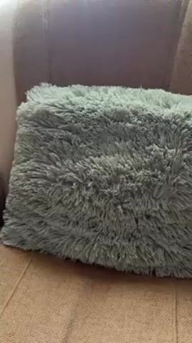 A hand tears off the clear plastic wrapping around a box of Greenfield chamomile tea.  The box sits on a light-green furry pillow, which in turn sits on a brown chair.