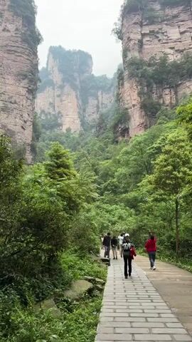 The video shows a group of people walking on a brick pathway through a valley surrounded by towering rock formations in a lush, green environment. The rock formations are tall and imposing, with some vegetation growing on their surfaces. The sky is overcast, contributing to a slightly misty or foggy atmosphere. The pathway is well-maintained, suggesting a tourist-friendly area. The people are dressed in casual clothing, and they appear to be enjoying the natural scenery.