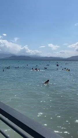 The video shows a crowded beach on a sunny day with a clear blue sky and scattered clouds. Numerous people are swimming and playing in the turquoise water. Some are using inflatable rings, while others are swimming freely. The water is calm with small waves. In the distance, mountains form a scenic backdrop. The foreground shows a dark railing, suggesting the viewpoint is from a pier or balcony overlooking the beach. The overall atmosphere is one of leisure and summer fun.
