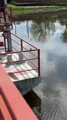 A static shot shows a small black bird perched on the red metal railing of a structure extending over a body of water. The bird has a white underside and appears to be observing its surroundings. The water reflects the sky and some distant trees. The railing is a simple design of horizontal and vertical bars. The structure it is attached to is concrete, with a metal bollard. The overall scene gives a sense of calm and nature in an urban or industrial setting.