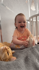 Toddler plays with orange cat on blanket in Russia