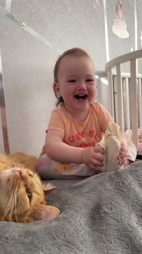 Toddler plays with orange cat on blanket in Russia