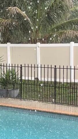 Rain is falling heavily on a swimming pool. The pool water is disturbed by the impact of the raindrops, creating ripples. A black metal fence with vertical bars and decorative finials separates the pool area from a grassy backyard. Beyond the fence, a beige vinyl fence with white posts forms the perimeter of the property. A palm tree with its fronds visible at the top of the frame suggests a tropical or subtropical climate. A potted plant with long, spiky leaves is situated near the fence on the left side of the frame. The overall scene depicts a backyard during a rain shower.