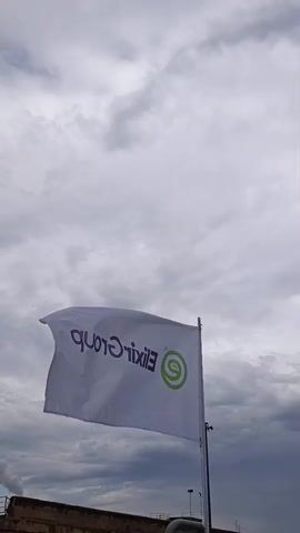 A white flag with a green circular logo and dark gray text that reads "Elixir Group" in reverse is waving on a flagpole. The flag is viewed from below against a cloudy gray sky. In the background, a dark brown, possibly brick or concrete structure runs horizontally across the bottom of the frame, with a light-colored pipe visible at the very bottom.
