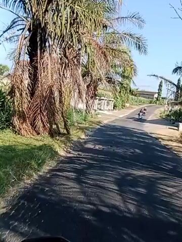 A video shows a motorcycle passing by a road. On the left side of the road are palm trees and a house with a white fence. There are also some other trees and houses in the background. The sky is clear and blue. The road is paved and appears to be in good condition. There is a person riding on the back of the motorcycle. The person is wearing a helmet. The motorcycle is moving at a moderate speed. The video is shot from the perspective of someone riding on the back of the motorcycle.