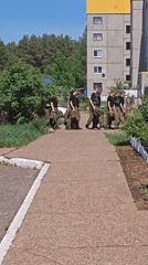 Domestic life and group movement documented in Markovskii