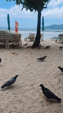 Patong, Thailand
