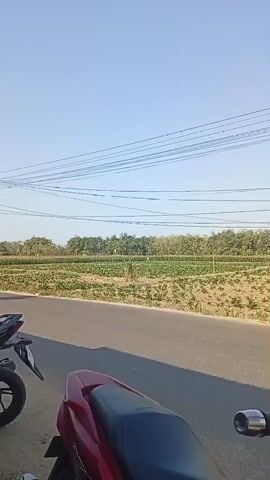 The video shows a still shot of a road with a motorcycle in the foreground. In the background, there is a field with rows of crops and trees. The sky is clear and blue. There are power lines running across the sky.