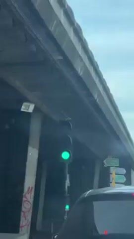 The video shows a pigeon perched on top of a green traffic light. The traffic light is positioned under a concrete overpass. There are electrical conduits visible on the overpass. The background is blurry and consists of other parts of the overpass and possibly a street.