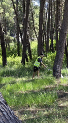 Volunteers clean up litter in Montenegro coastal forest area