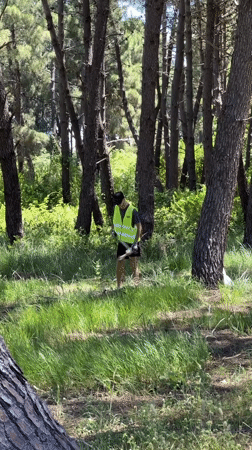 Volunteers clean up litter in Montenegro coastal forest area