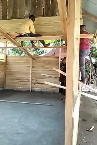 The video shows the interior of a partially constructed wooden building. Three men are present. One man is sitting atop wooden beams near the roof, another is standing on a beam further down, and the third man is standing on the concrete floor holding a piece of wood. All three men appear to be involved in the construction of the building. The interior walls are made of wood planks.  A string with a weight on it is visible hanging from the ceiling. The background outside the building appears to be tropical foliage.