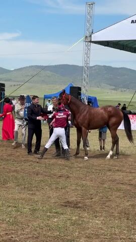 At 00:00, a horse race award ceremony is in progress. A jockey in red and white racing attire stands next to a brown horse. Several men in suits are presenting a blue banner to a man in a hat. Another man holds a microphone. The scene is outdoors in a grassy field with hills in the background. At 00:01, the man in the hat receives the banner, and the men in suits shake hands. At 00:02, the banner is unfurled, showing white lettering. At 00:03, the men are gathered around the horse and jockey, with the banner being held up. At 00:04, the scene is largely unchanged, with the men still in position around the horse.
