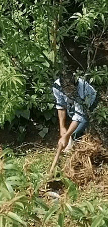 Agricultural work observed in Sa Pa terraced landscape