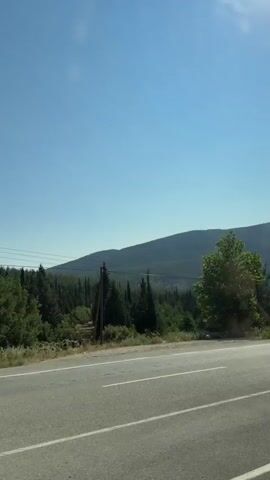 The video shows a view from a moving vehicle on a clear day. The road is visible in the foreground, with a metal guardrail separating it from the side of the road. Beyond the guardrail, there is a variety of trees, including evergreen and deciduous varieties. In the distance, rolling hills are visible against a bright blue sky. The scene suggests a rural or mountainous landscape, possibly during the spring or summer months due to the lush greenery.