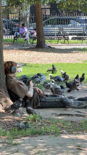 Person rests against tree in sunlit New York park