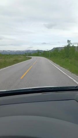 The video shows a first-person perspective of driving on a paved road in a rural, mountainous area. The road is gray asphalt with a solid yellow line dividing the lanes. It curves to the left and then to the right in the distance. On either side of the road, there are green, grassy fields interspersed with birch trees. In the background, rolling hills are visible, some with patches of snow or light-colored vegetation, suggesting a higher elevation. The sky is overcast with gray clouds, indicating a cloudy or possibly rainy day. There are streetlights with two arms on either side of the road, spaced at intervals. The dashboard of the vehicle is visible in the foreground, with the windshield framing the view of the road and landscape. The overall impression is one of a scenic drive through a somewhat wild, natural environment, possibly during a cooler season or in a region with a subarctic climate. There is no visible text in the video. The activity is simply driving along the road.