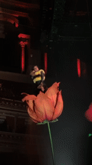 Costumed performers stage flower-themed show in London
