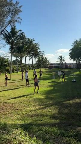 A group of about a dozen people are standing on a grassy field on a sunny day. Some palm trees are scattered around the field, and there is a volleyball net set up in the middle. The people are dressed casually and appear to be preparing to play volleyball.