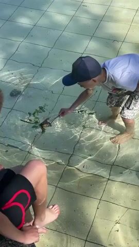 Two young boys are in a shallow, tiled pool. One boy, wearing a blue baseball cap and a white t-shirt with patterned shorts, is leaning over the water, holding a thin branch with green leaves. He is using the branch to interact with a dark-colored frog in the water. The other boy, seen from behind and wearing black shorts with red trim, is sitting on the edge of the pool, watching the frog. The water is clear and rippled by their movements. The sunlight appears bright, casting shadows on the tiled pool floor, suggesting a sunny day. The scene appears to be outdoors, possibly in a park or a backyard, given the natural elements of the branch and the tiled pool. The boys' focus on the frog and their interaction with it suggest a moment of curiosity and gentle exploration. No text is visible in the media file.