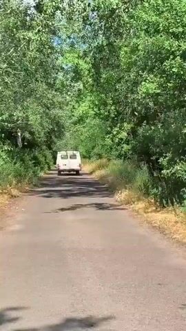 This video shows a view from a moving vehicle on a dirt road lined with lush green vegetation and trees. The sun is shining brightly, casting shadows and illuminating the scene, suggesting it is daytime. The weather appears to be warm and sunny. The road curves gently to the right, and on the left side, there is dense foliage, including bushes and tall grass, with a large tree dominating the foreground. In the distance, on the right side of the road, another vehicle can be seen. The overall mood is peaceful and serene, evoking a sense of a leisurely drive through a natural landscape. The location is identified as Psilske, Ukraine. There is no visible text in the video.